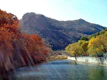 新澳天天开奖资料大全旅游团，深圳到沈阳物流公司